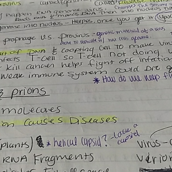 Meet your Posher, Julie - Picture 1 of 1